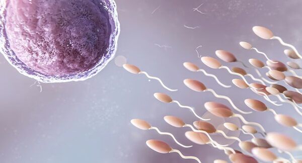 I 10 Migliori Chirurghi Plastici a Roma Bellissimo concetto di fertilità nel rendering 3d