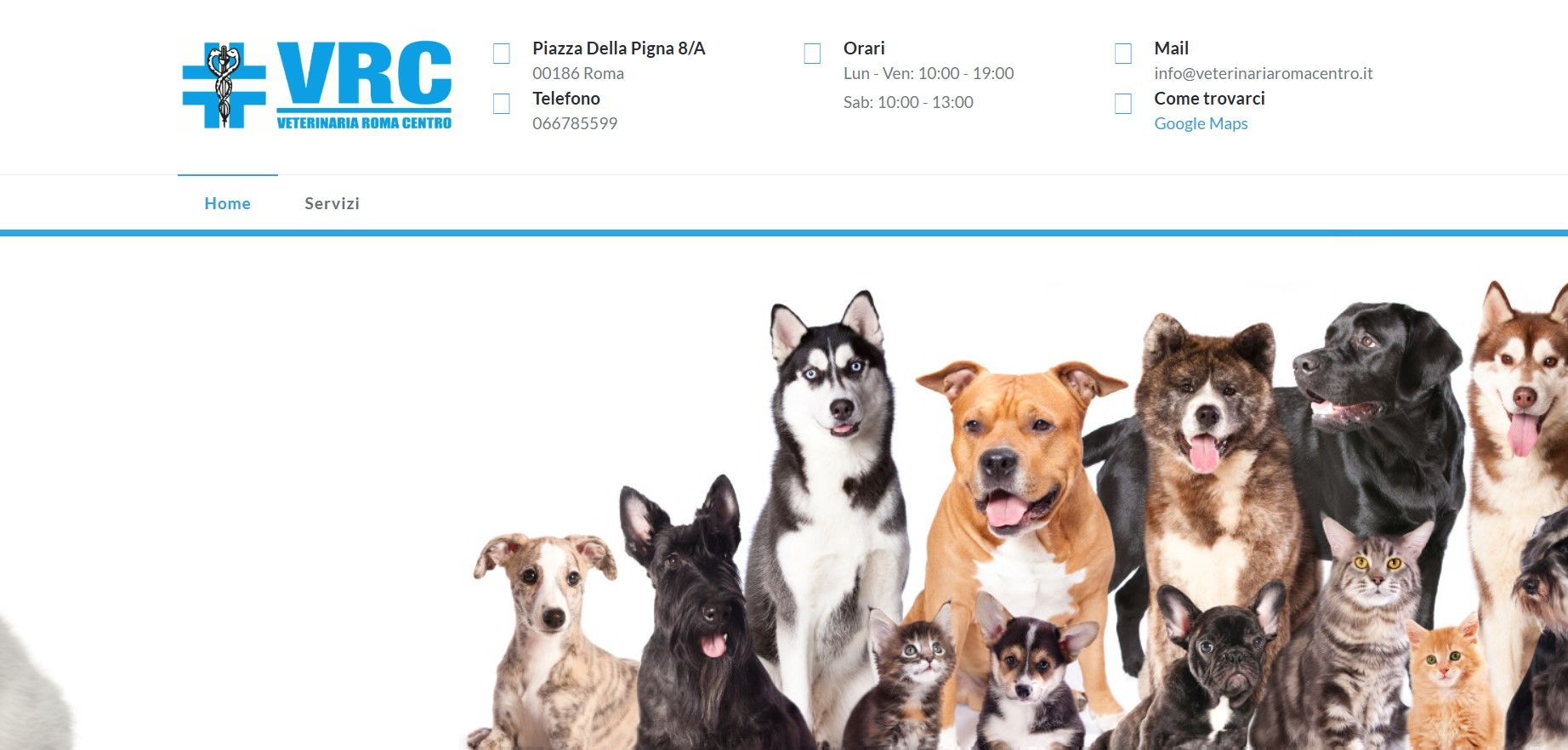 Clinica Veterinaria Roma Centro