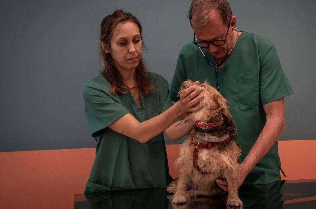 Clinica Veterinaria Sociale