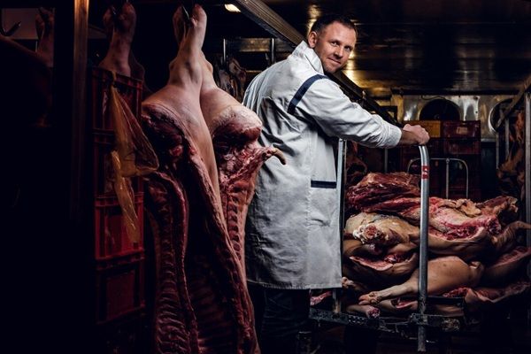 Bitecca Domu Macellaio in camicia da lavoro bianca in piedi in un magazzino refrigerato in mezzo a carcasse di carne