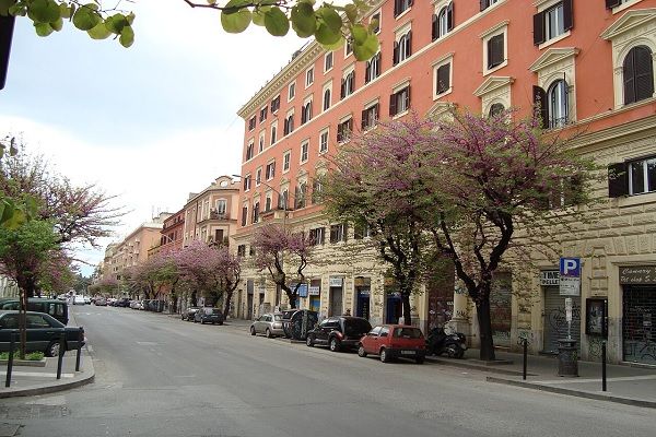 San Lorenzo
