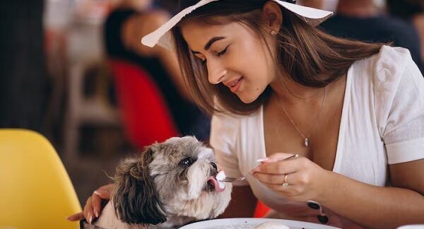 I 10 migliori ristoranti pet-friendly di Roma