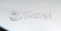 Turiya
