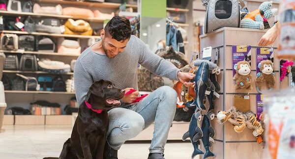I 10 migliori negozi di giocattoli per cani a Roma