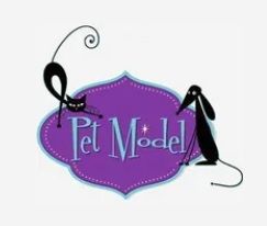 Pet Model