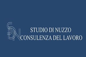 Uno dei migliori consulenti per il lavoro a Roma è Studio Di Nuzzo, logo