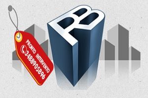 Idraulico Roberto Borsetti, logo