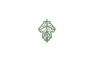 Studio Leone, logo