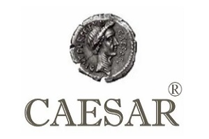 migliori traduttori giurati - logo Caesar