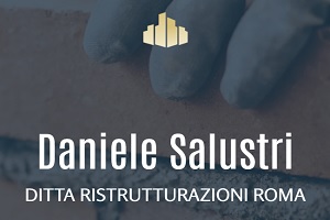 Daniele Salustri Ristrutturazioni, logo