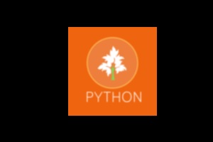 Python Parquet Roma