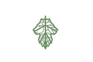 studi di paesaggismo urbano - Studio Leone logo